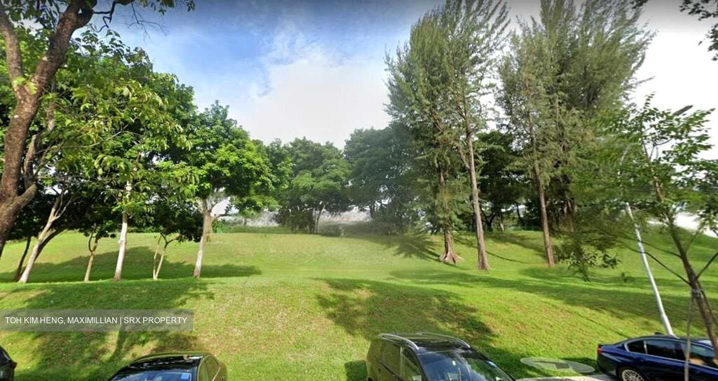 Jurong Park (D21), Detached #457157441